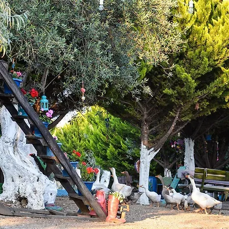 Frühstückspension Kaymak Tepesi Tatil Evi Küçükkuyu