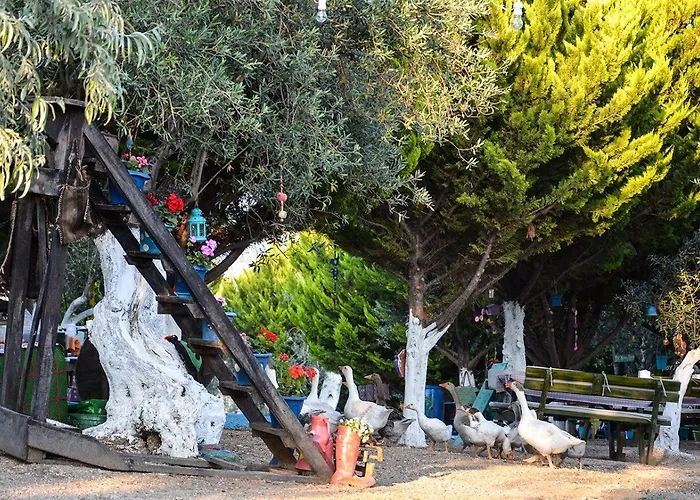 Ferienhaus Kaymak Tepesi Küçükkuyu
